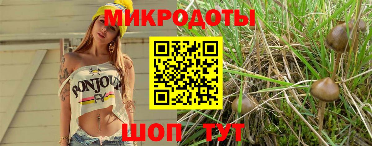Галлюциногенные грибы прущие грибы Кимовск